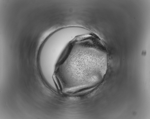 X0000090760248200708172053