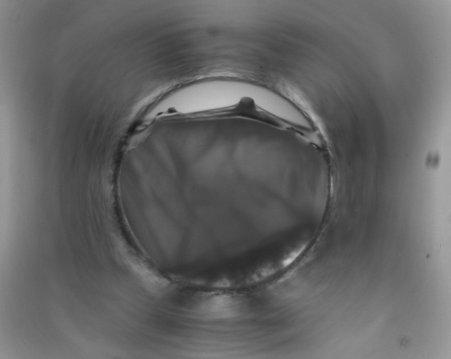 X0000090760249200708172053