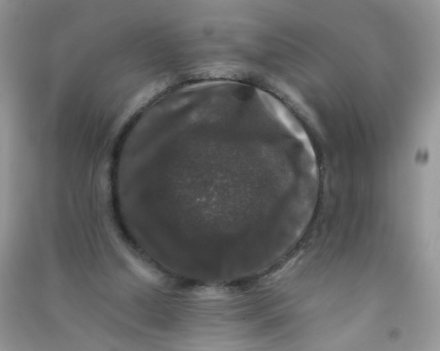 X0000090760250200708172053