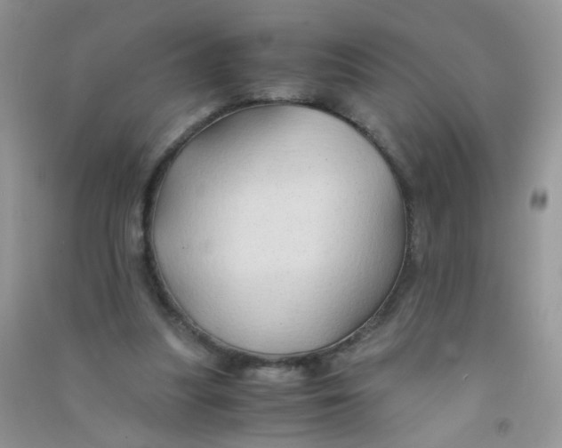 X0000090760251200708172053
