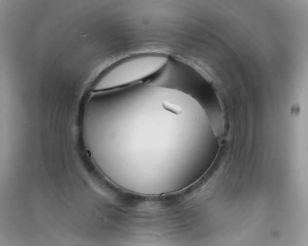 X0000090760252200708172053