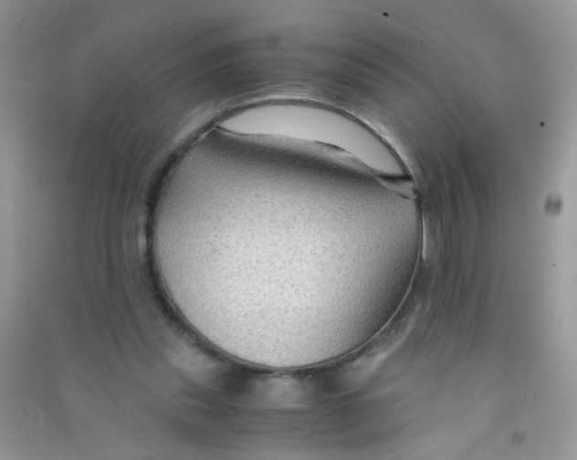 X0000090760253200708172053