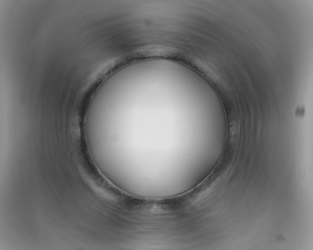 X0000090760254200708172053