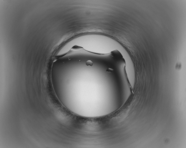 X0000090760256200708172053