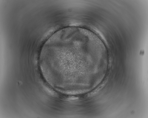 X0000090760257200708172053