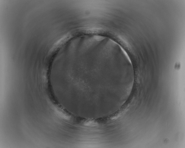 X0000090760258200708172053