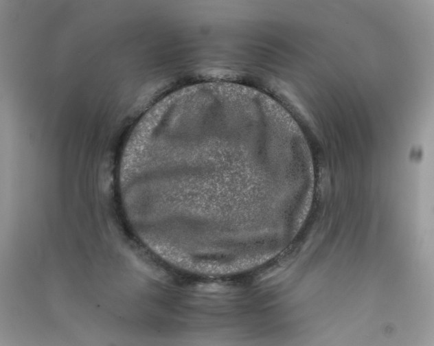 X0000090760259200708172053