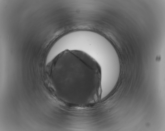 X0000090760260200708172053