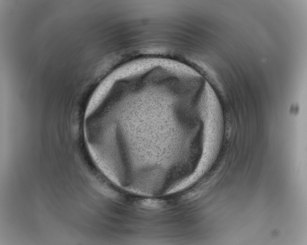 X0000090760261200708172053