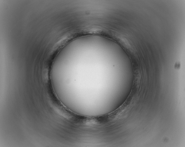 X0000090760262200708172053