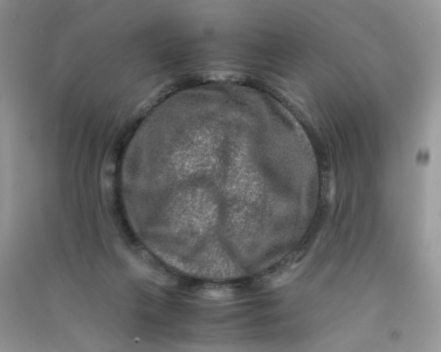 X0000090760263200708172053