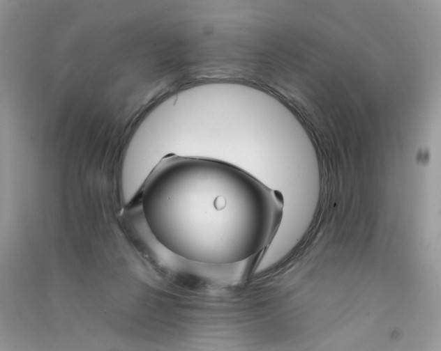 X0000090760264200708172053