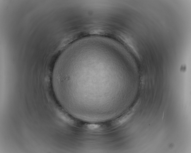 X0000090760265200708172053