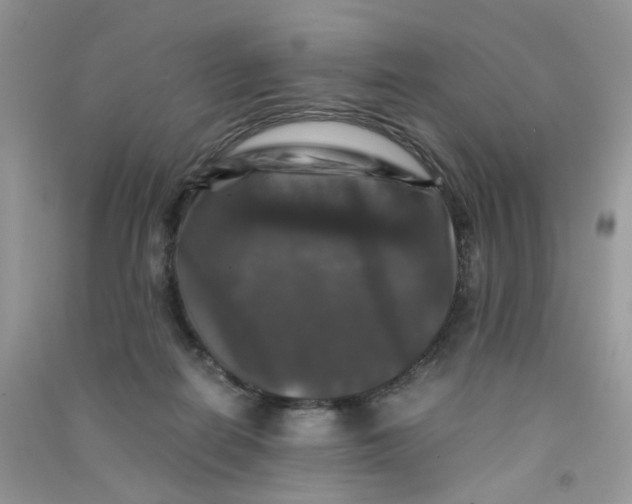 X0000090760266200708172054