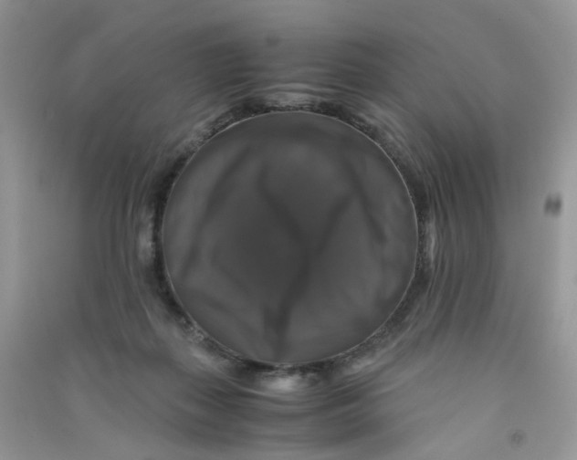 X0000090760267200708172054