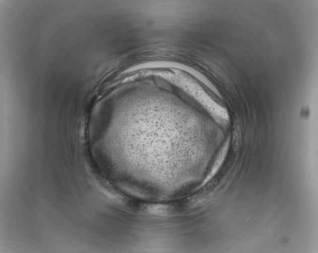 X0000090760268200708172054