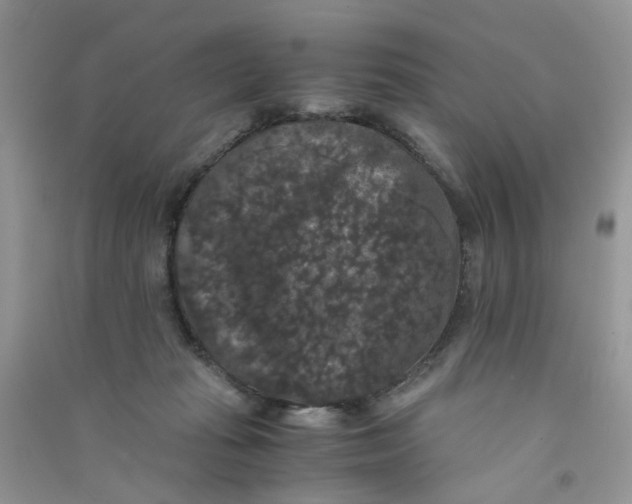 X0000090760269200708172054