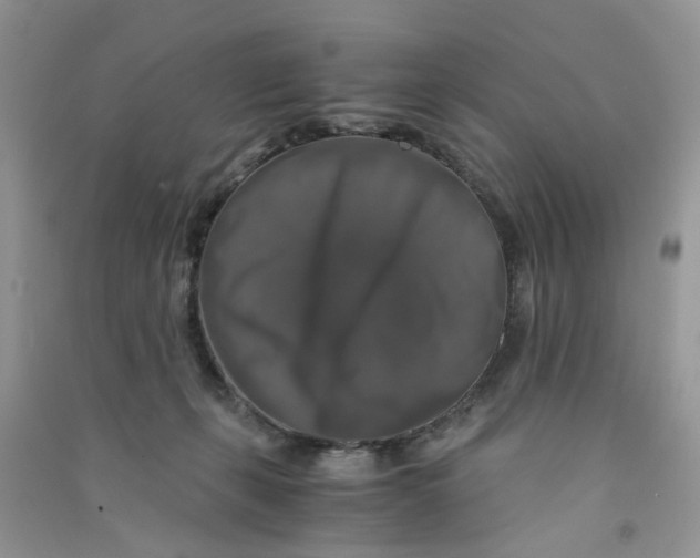 X0000090760271200708172054