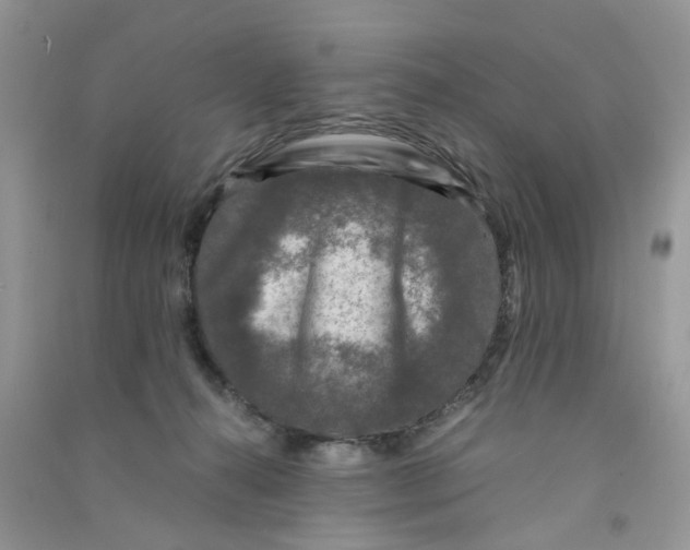 X0000090760272200708172054