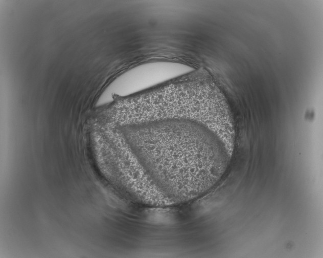 X0000090760273200708172054