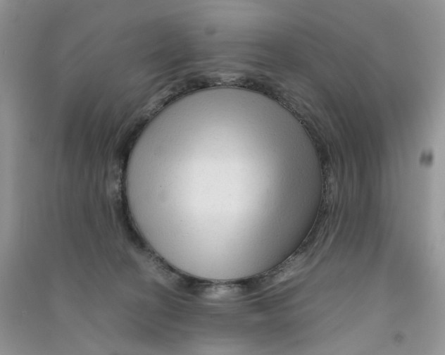 X0000090760274200708172054