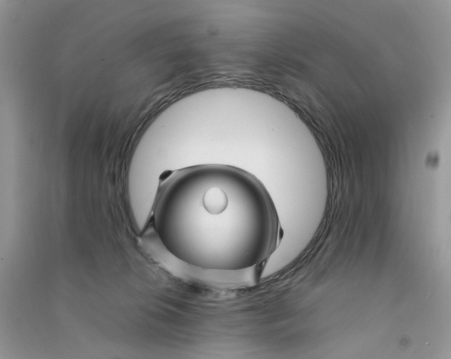 X0000090760276200708172054