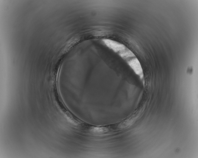 X0000090760277200708172054