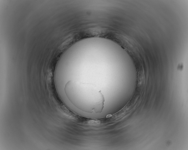 X0000090760279200708172054