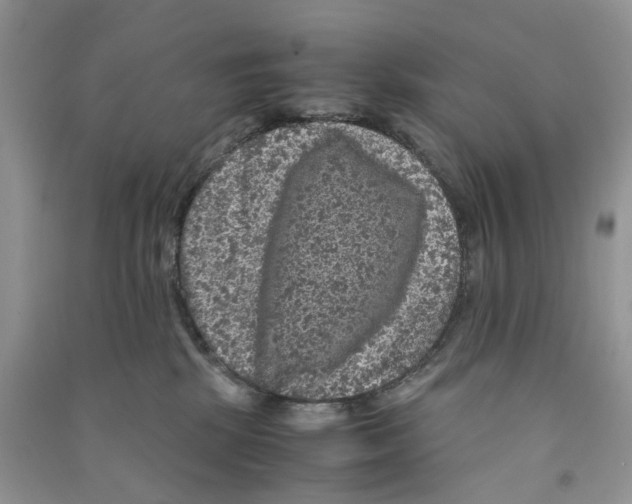 X0000090760281200708172054