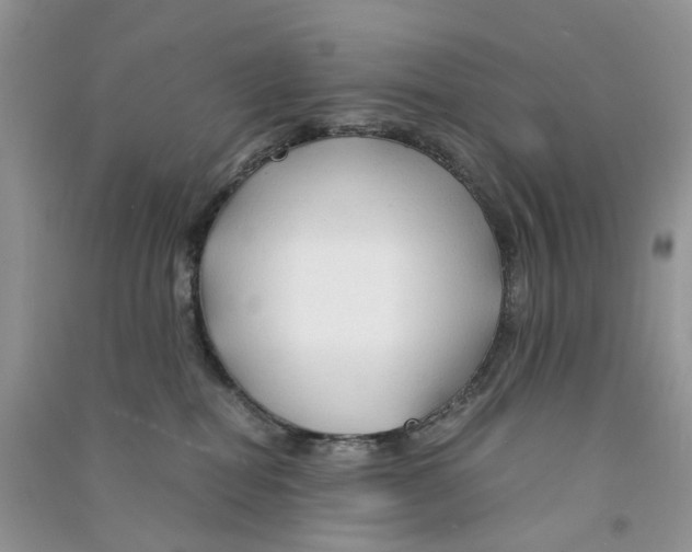 X0000090760282200708172054