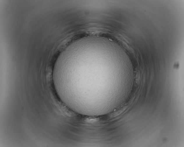 X0000090760283200708172054