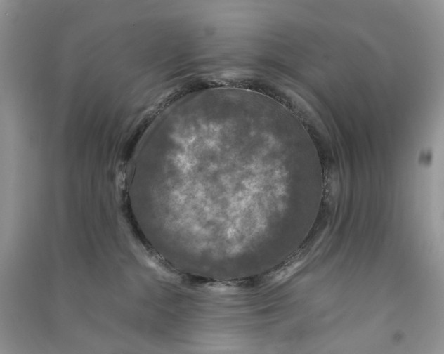 X0000090760284200708172054
