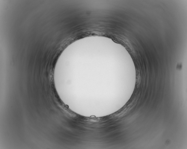 X0000090760285200708172054