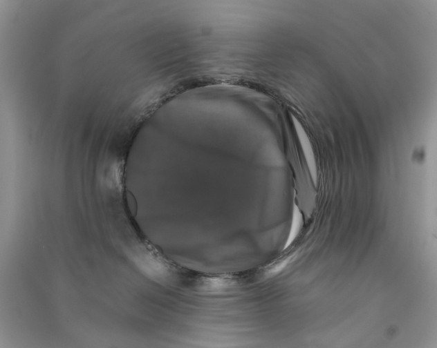 X0000090760286200708172054