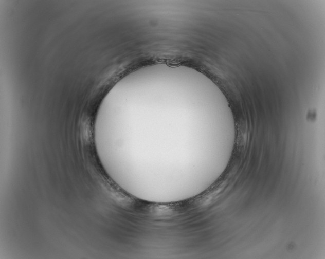 X0000090760287200708172054