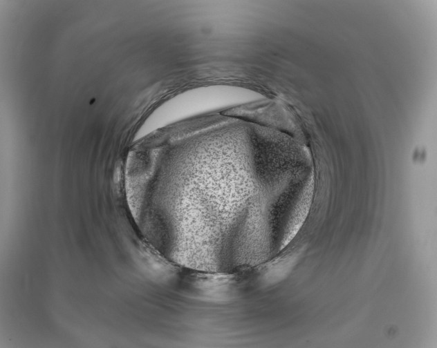 X0000090760288200708172054