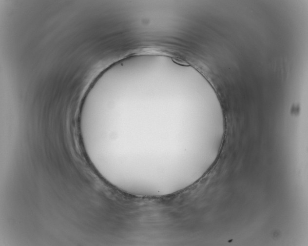 X0000090760289200708172053