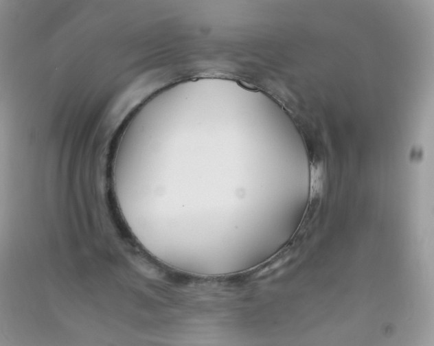 X0000090760291200708172053