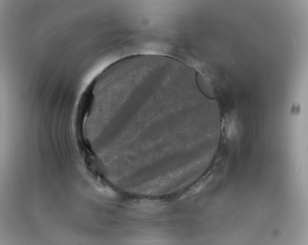 X0000090760292200708172053