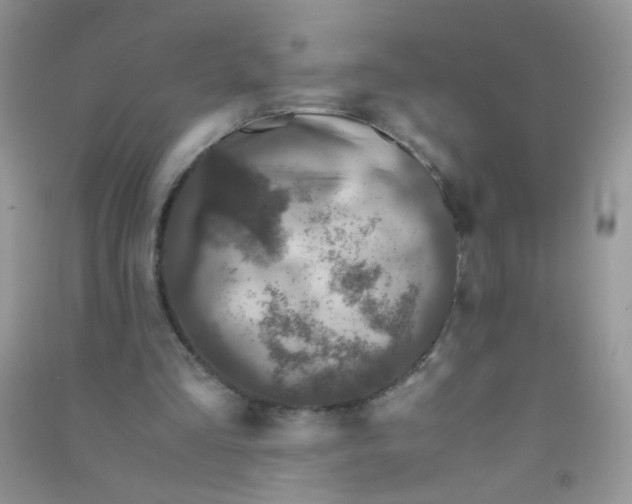 X0000090760293200708172053