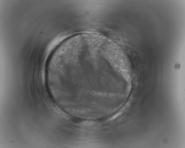 X0000090760294200708172053