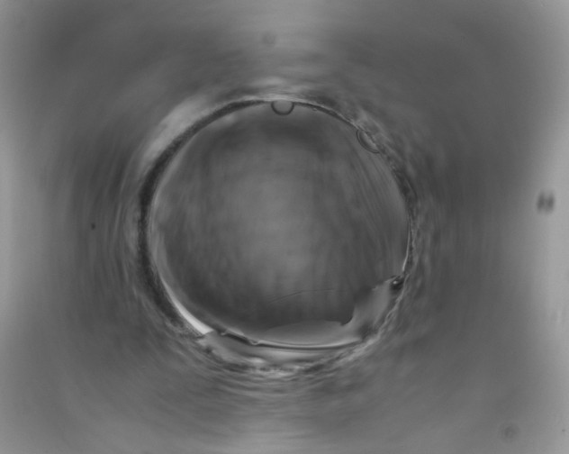 X0000090760295200708172053