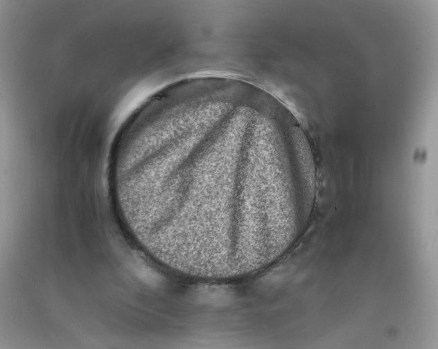 X0000090760296200708172053