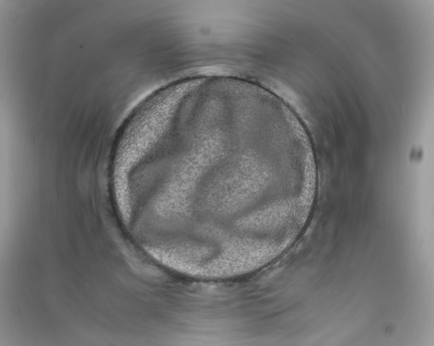 X0000090760297200708172053