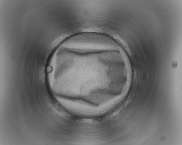 X0000090760298200708172053