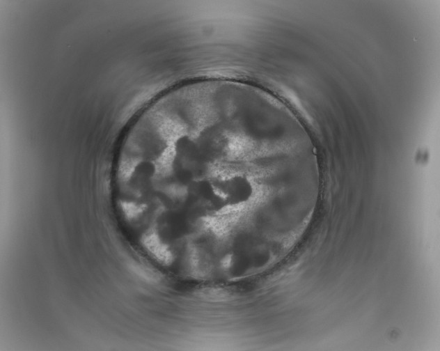 X0000090760299200708172053