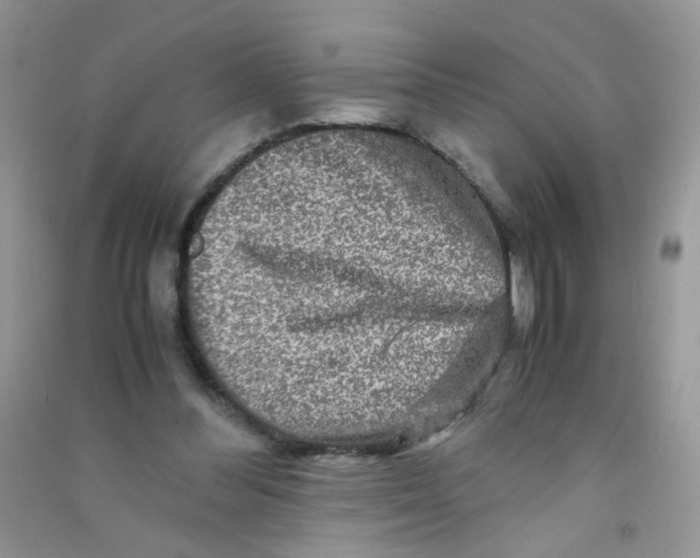 X0000090760300200708172053