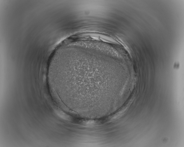 X0000090760301200708172053