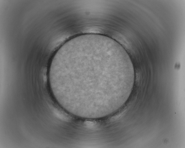 X0000090760302200708172053