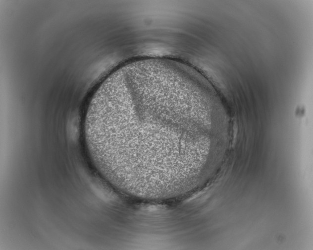 X0000090760304200708172053